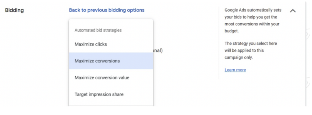 bid strategy options on Google ads